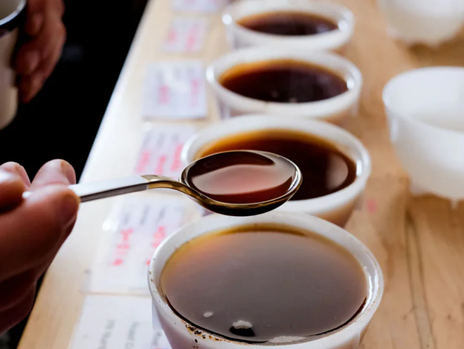 Cupping: Kaffee verkosten wie die Profis