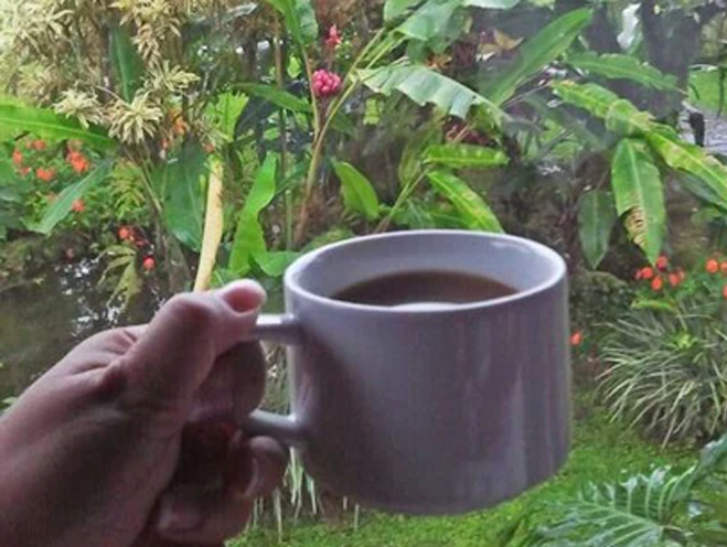 Kaffee direkt aus dem Paradies: Costa Rica