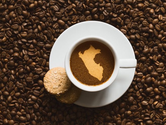 Auf den Spuren des peruanischen Kaffees: Ein Besuch im Chanchamayo-Tal